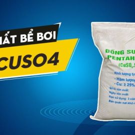 Đồng bột CUSO4 - xử lý nước hồ bơi để loại bỏ rêu tảo