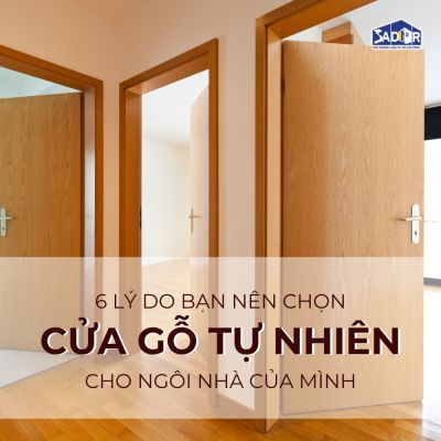 6 LÝ DO BẠN NÊN CHỌN CỬA GỖ TỰ NHIÊN CHO NGÔI NHÀ CỦA MÌNH